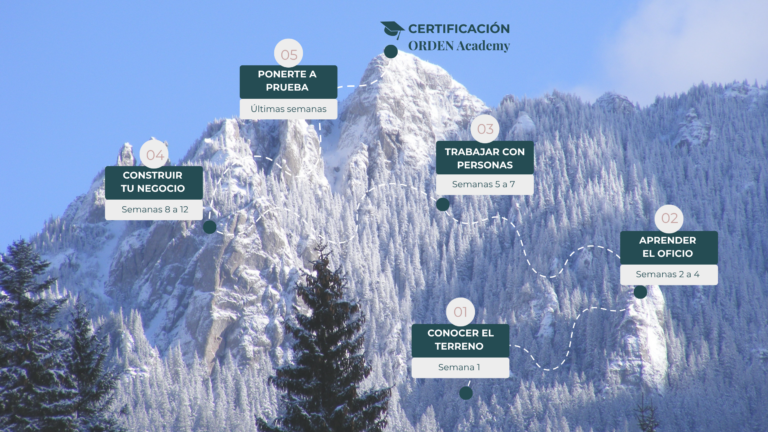 curso organizador profesional - formación integral para organizadora profesional